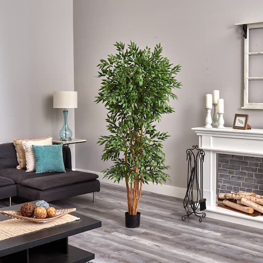 6ft. Potted Green Ash Tree